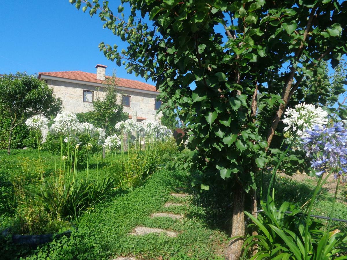Bernardes House Casa de hóspedes Castelo de Paiva Exterior foto